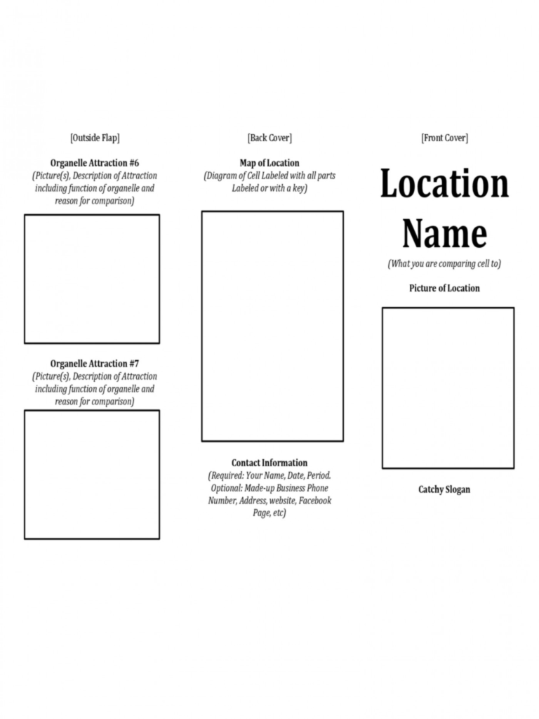 travel leaflet template ks2