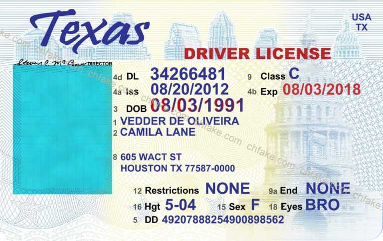 drivers license blank templates