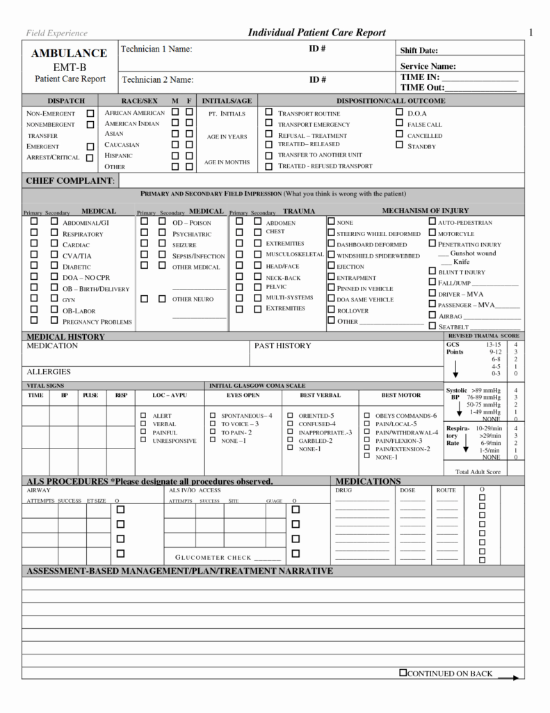 Ems Run Report Template Best Of 22 Of Patient Care Report In Patient