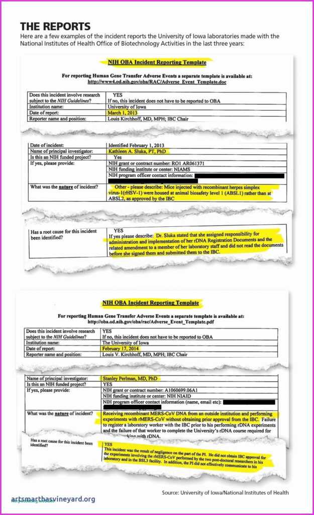 Environmental Impact Report Template