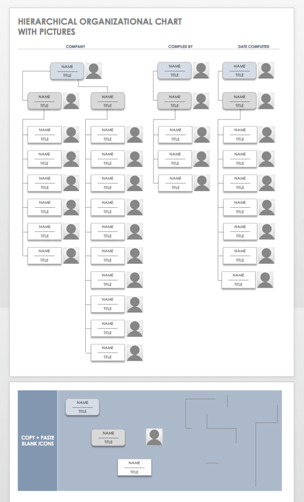 Free Blank Organizational Chart Template Atlantaauctionco Com