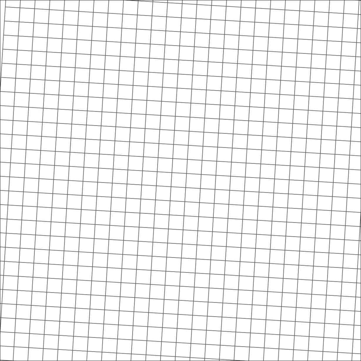 Free Printable Graph Paper Blank Standard And Metric Graph With Blank 