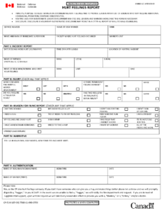 I Give You The Canadian Armed Forces, Hurt Feelings Report Throughout 