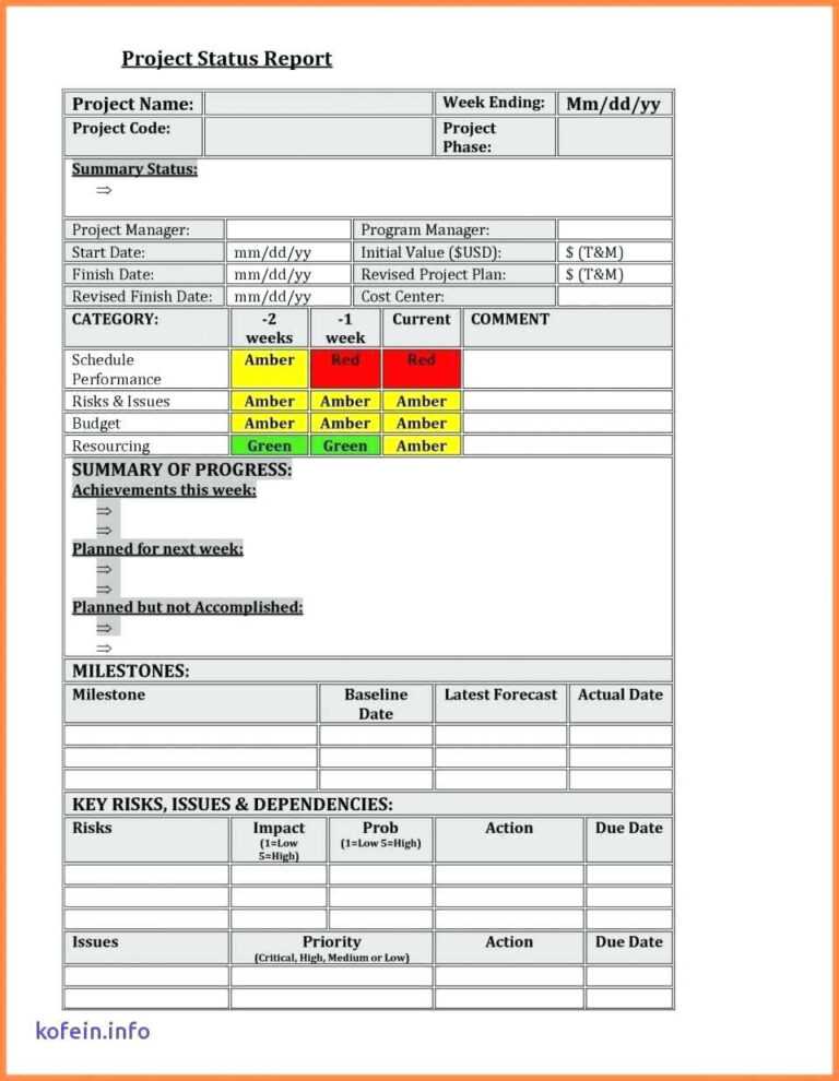 project-management-final-reportng-ming-hwee-issuu-pdf-p-in-project